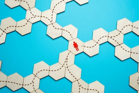 Choisir une voie de déplacement pour un individu.